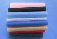 桃江涤纶（PET）无纺布是什么